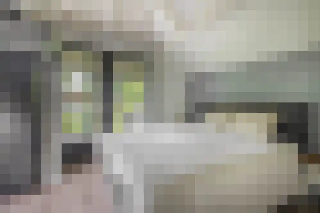 Achterdiep Zuidzijde 5 Sappemeer thumbnail 22