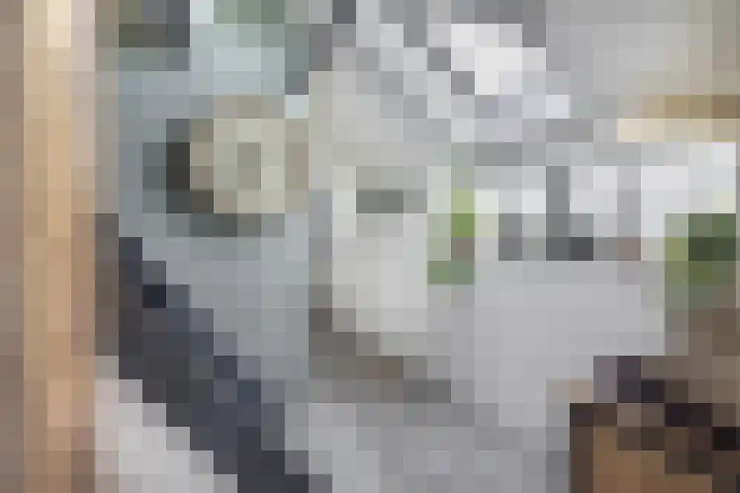 Achterdiep Zuidzijde 5 Sappemeer thumbnail 25