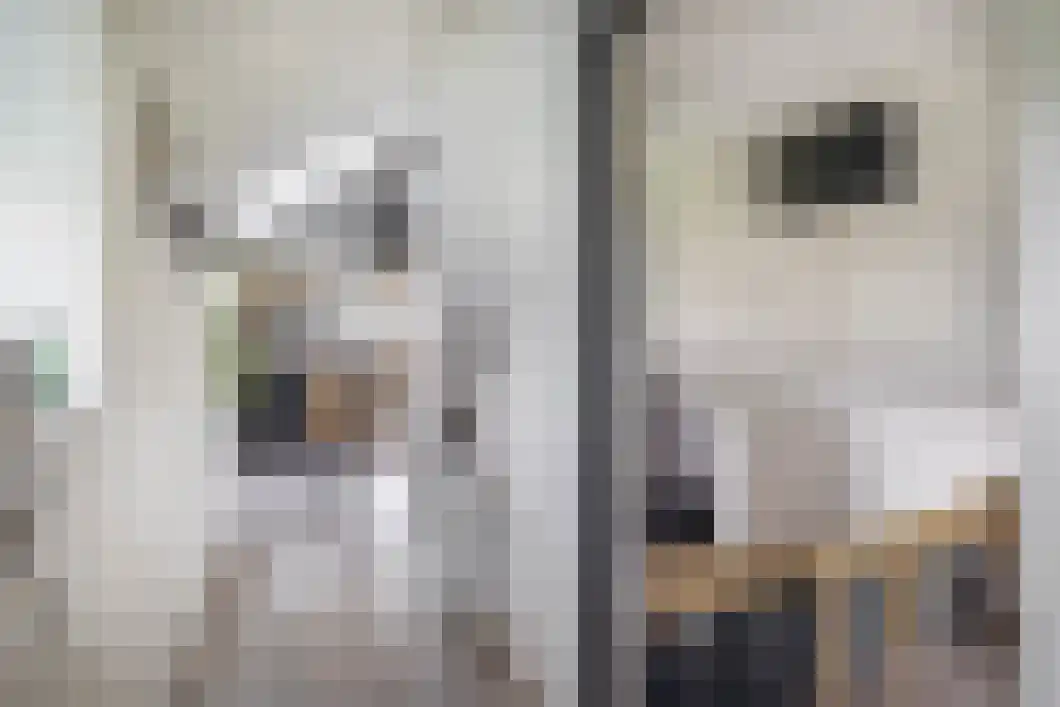 Achterdiep Zuidzijde 5 Sappemeer thumbnail 29