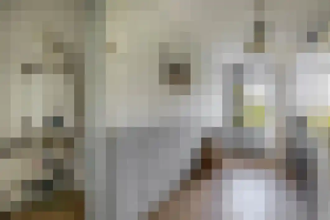 Achterdiep Zuidzijde 5 Sappemeer thumbnail 34