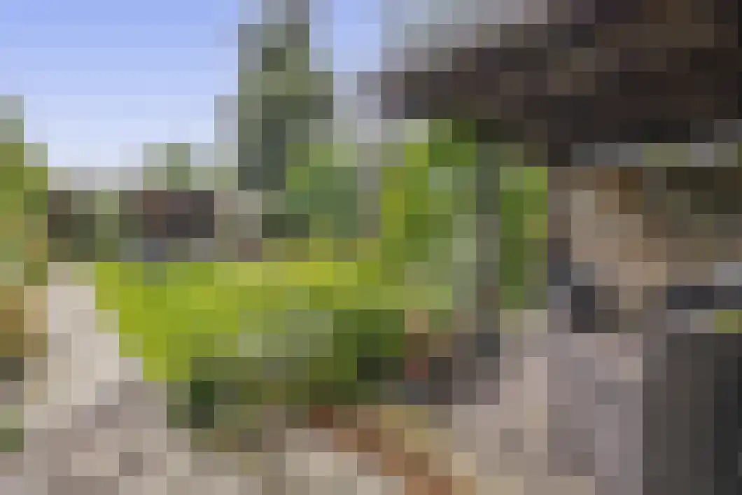 Achterdiep Zuidzijde 5 Sappemeer thumbnail 37