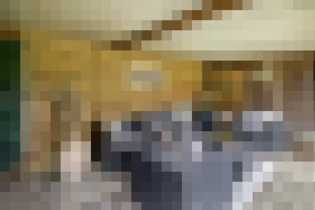 Achterdiep Zuidzijde 5 Sappemeer thumbnail 39
