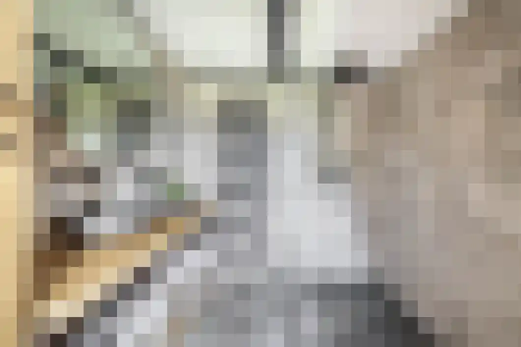 Achterdiep Zuidzijde 5 Sappemeer thumbnail 4