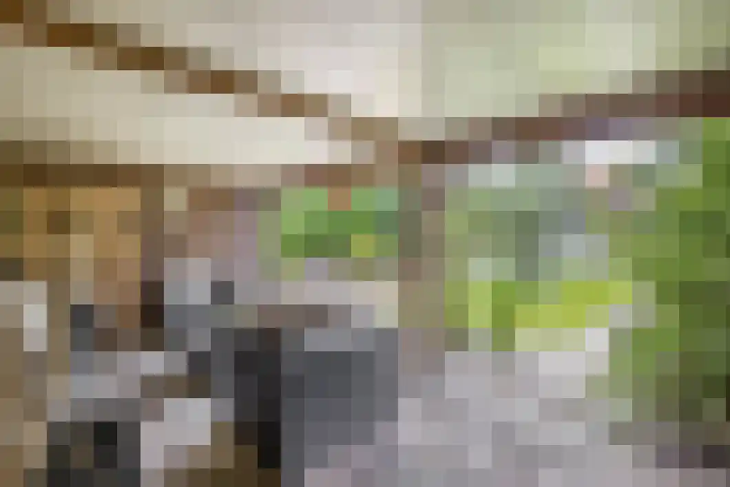 Achterdiep Zuidzijde 5 Sappemeer thumbnail 40