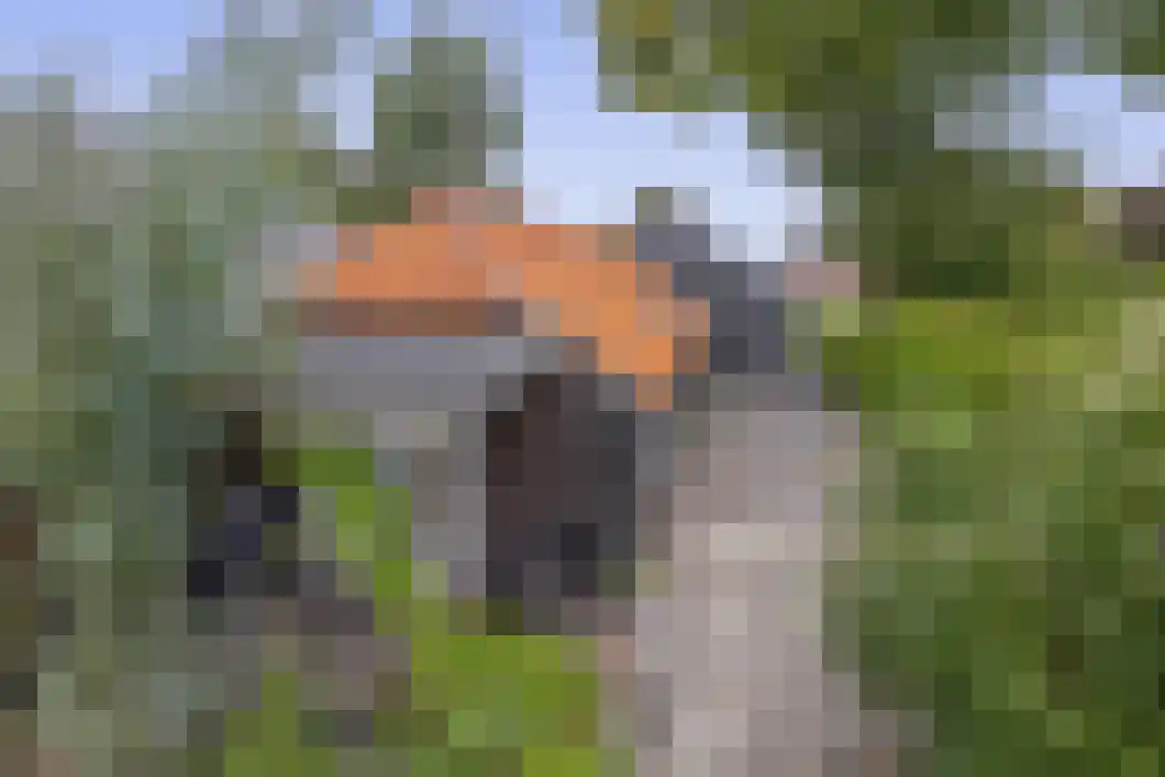 Achterdiep Zuidzijde 5 Sappemeer thumbnail 43