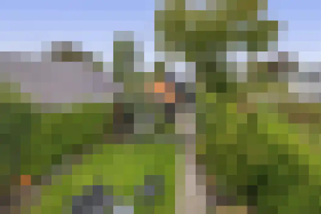 Achterdiep Zuidzijde 5 Sappemeer thumbnail 5