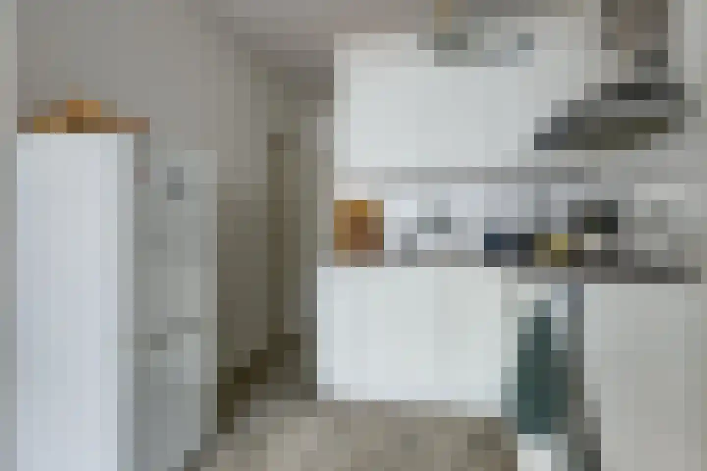 Achterdijk 14 B Purmerend thumbnail 9