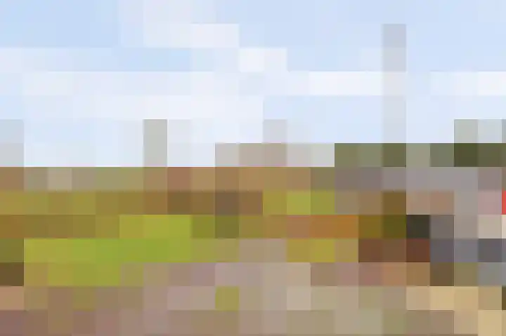 Achterdijk 14 Kedichem thumbnail 18