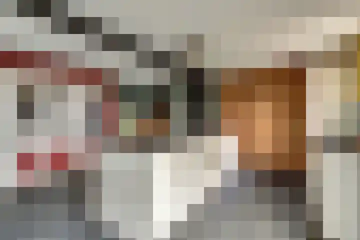 Achterdijk 14 Kedichem thumbnail 19
