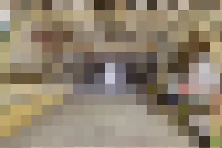 Achterdijk 14 Kedichem thumbnail 41