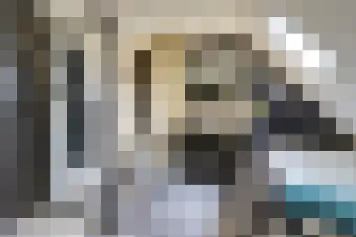 Achterdijk 14 Kedichem thumbnail 5