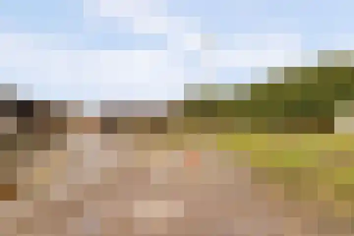 Achterdijk 14 Kedichem thumbnail 62