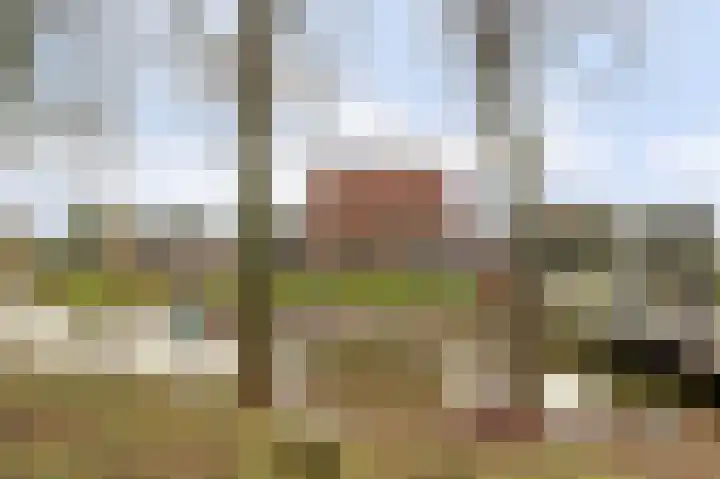 Achterdijk 14 Kedichem thumbnail 64