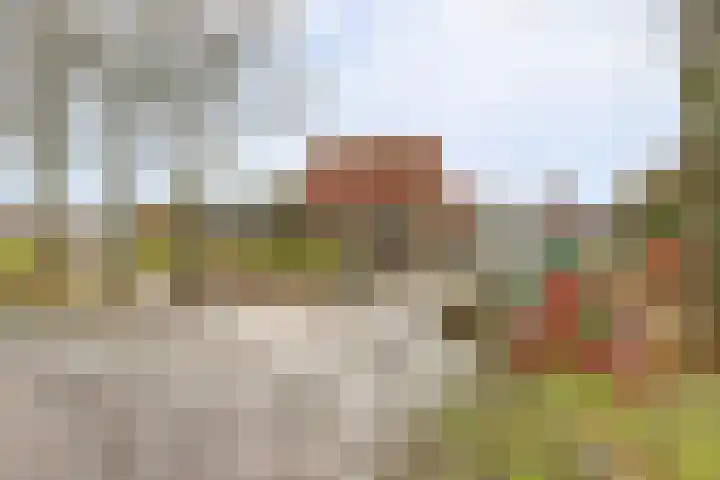 Achterdijk 14 Kedichem thumbnail 67
