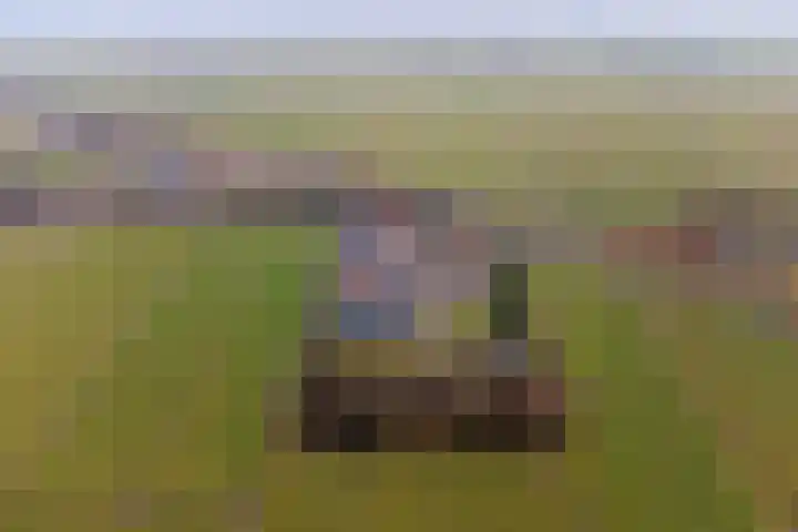 Achterdijk 14 Kedichem thumbnail 71