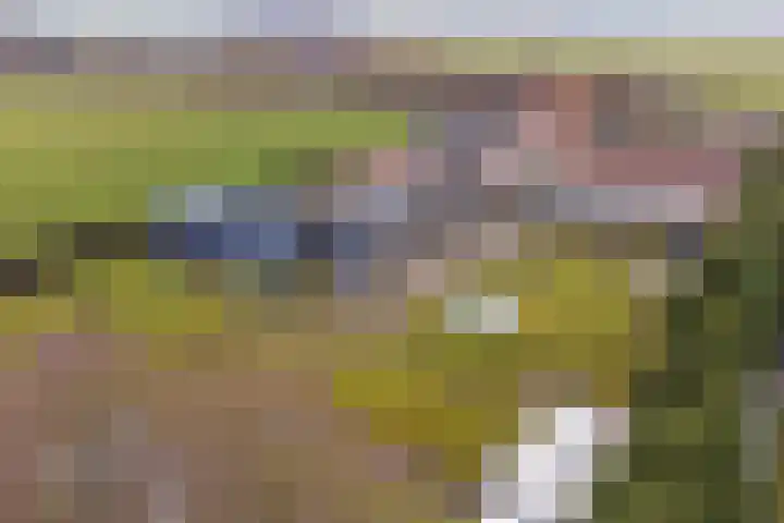 Achterdijk 14 Kedichem thumbnail 73