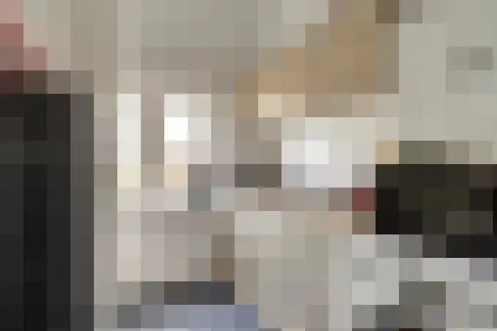 Achterdijk 14 Kedichem thumbnail 8