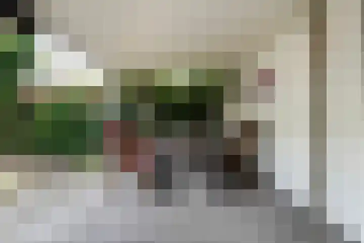 Achterdijk 14 Kedichem thumbnail 82