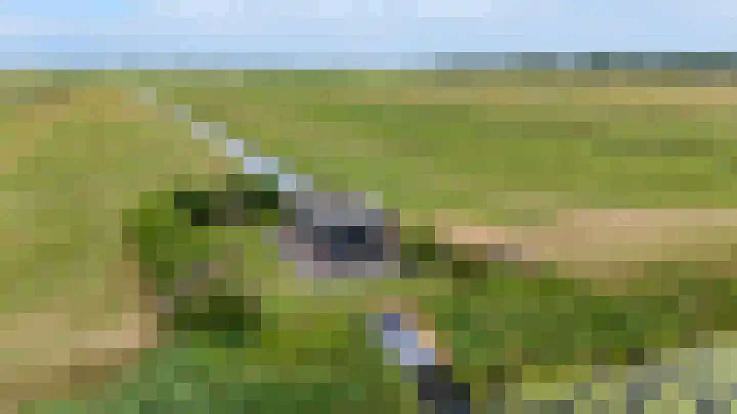 Achterdijk 14 Rijpwetering thumbnail 29