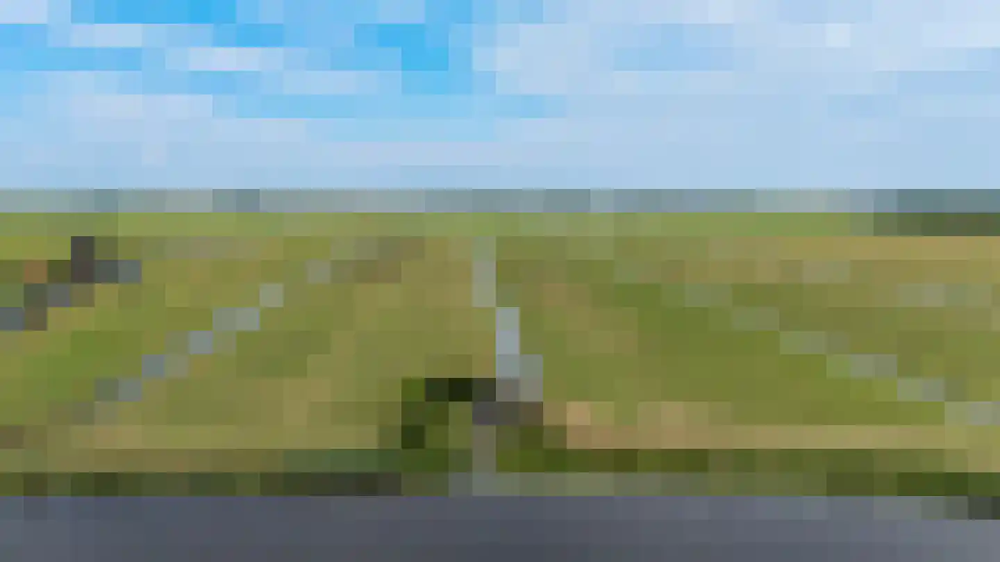 Achterdijk 14 Rijpwetering thumbnail 32