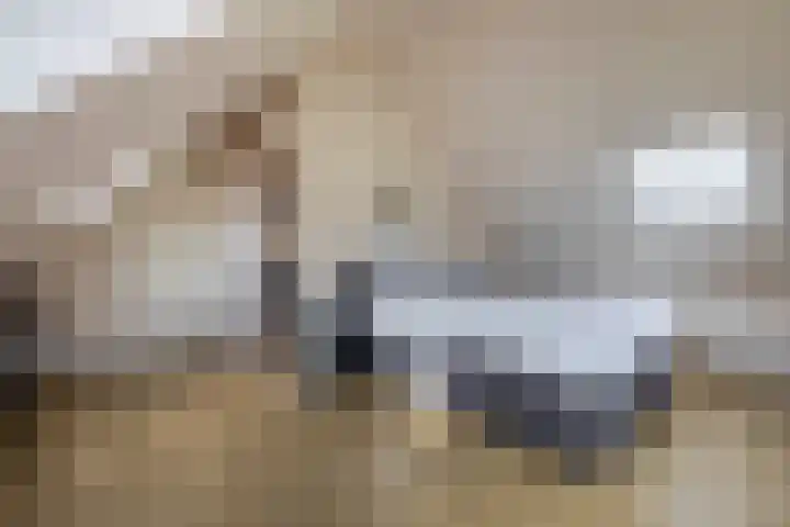 Achterdijk 17 Zevenbergen thumbnail 29