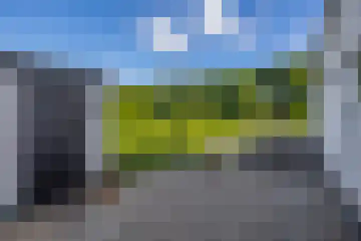 Achterdijk 17 Zevenbergen thumbnail 44
