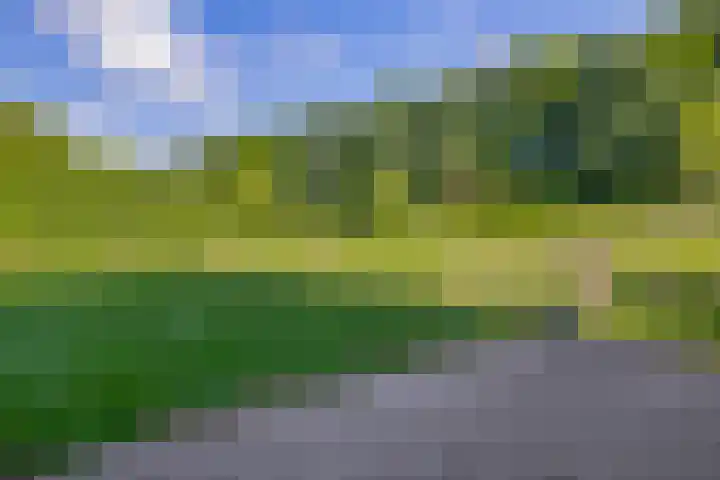 Achterdijk 17 Zevenbergen thumbnail 49