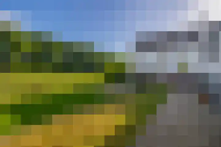 Achterdijk 17 Zevenbergen thumbnail 50