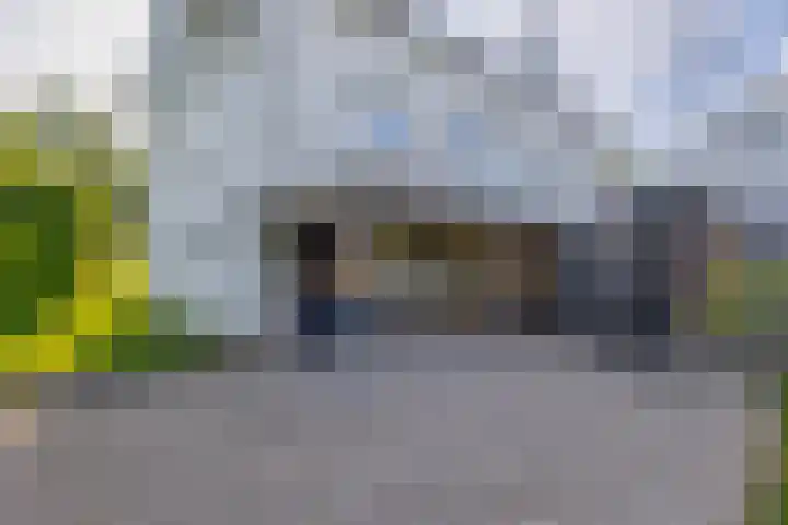Achterdijk 17 Zevenbergen thumbnail 51
