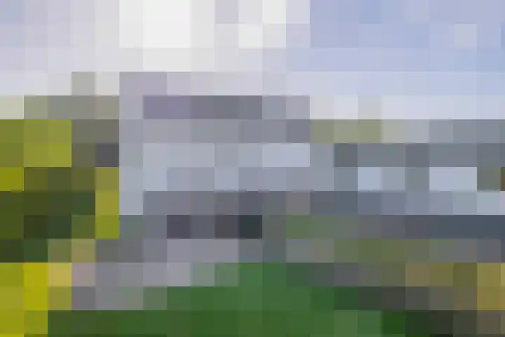 Achterdijk 17 Zevenbergen thumbnail 52