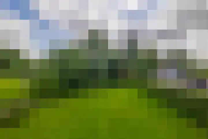 Achterdijk 17 Zevenbergen thumbnail 54