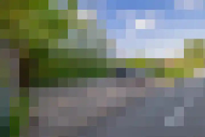 Achterdijk 17 Zevenbergen thumbnail 68