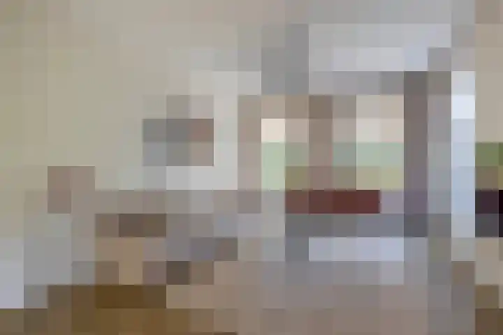 Achterdijk 17 Zevenbergen thumbnail 9