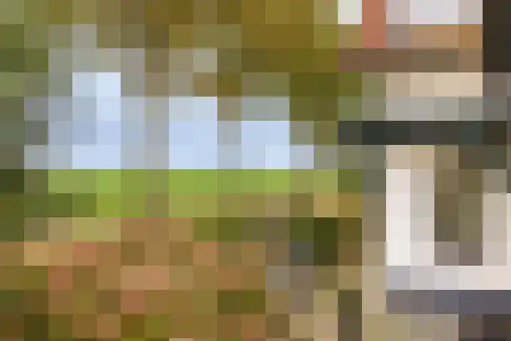 Achterdijk 18 Schalkwijk thumbnail 13