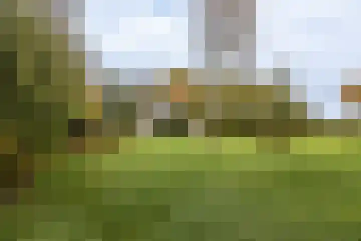 Achterdijk 18 Schalkwijk thumbnail 15