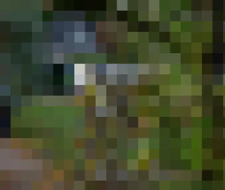 Achterdijk 18 Schalkwijk thumbnail 20