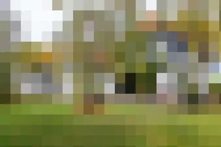 Achterdijk 18 Schalkwijk thumbnail 21