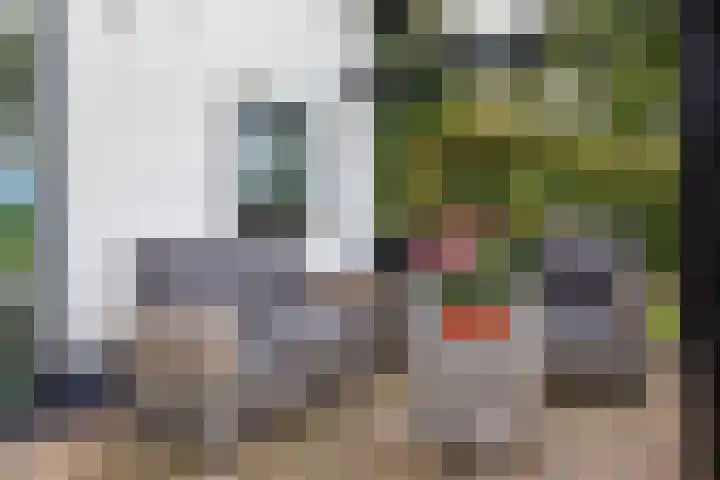 Achterdijk 18 Schalkwijk thumbnail 22