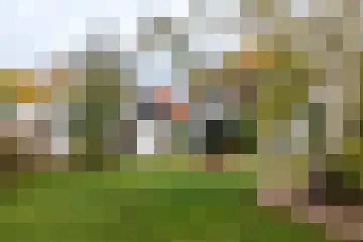 Achterdijk 18 Schalkwijk thumbnail 29