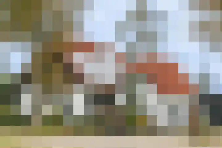 Achterdijk 18 Schalkwijk thumbnail 6