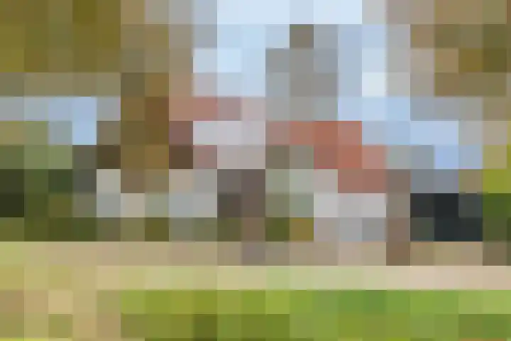 Achterdijk 18 Schalkwijk thumbnail 7