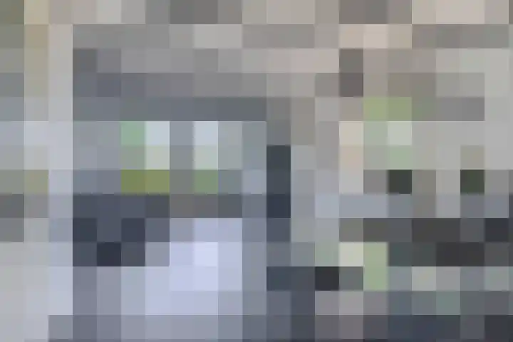 Achterdijk 189 Zevenbergschen Hoek thumbnail 13