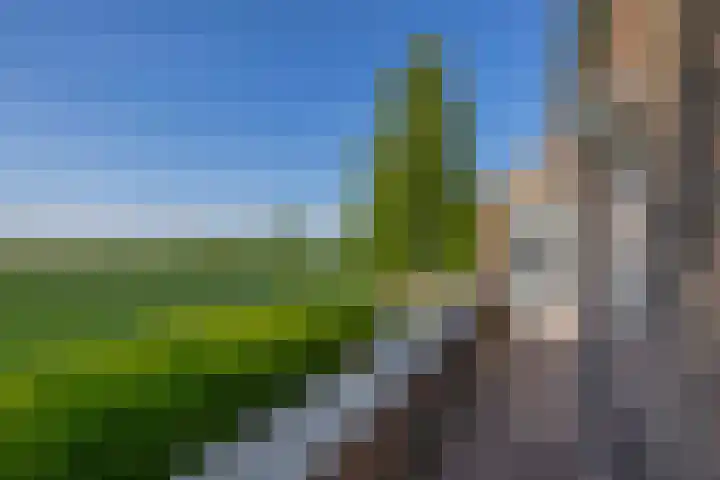 Achterdijk 189 Zevenbergschen Hoek thumbnail 26