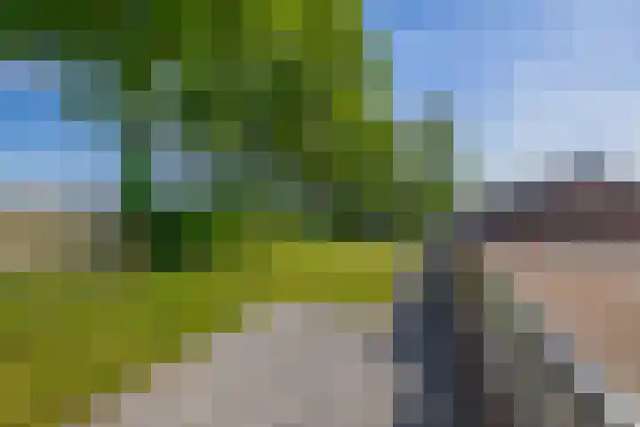 Achterdijk 189 Zevenbergschen Hoek thumbnail 27
