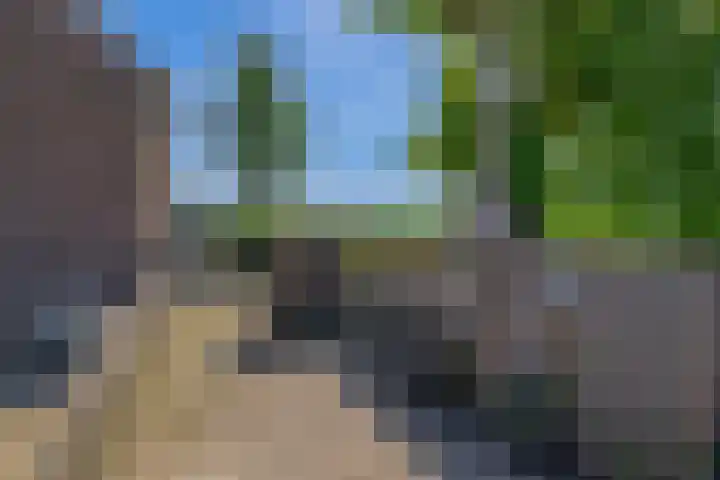 Achterdijk 189 Zevenbergschen Hoek thumbnail 29