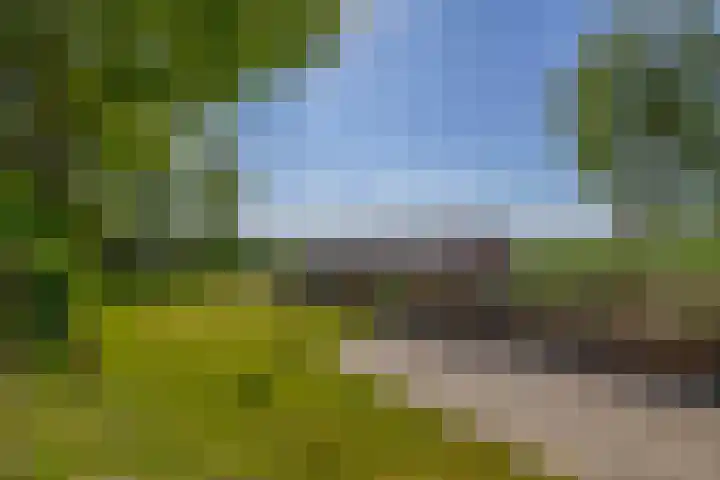 Achterdijk 189 Zevenbergschen Hoek thumbnail 30