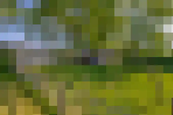 Achterdijk 189 Zevenbergschen Hoek thumbnail 31