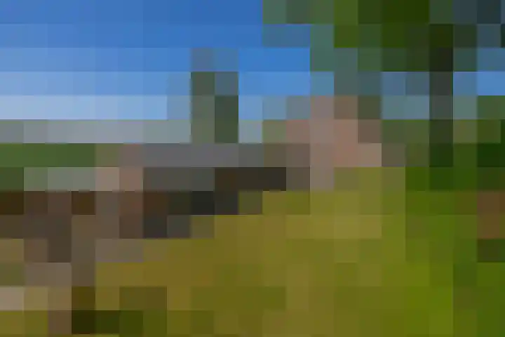Achterdijk 189 Zevenbergschen Hoek thumbnail 32