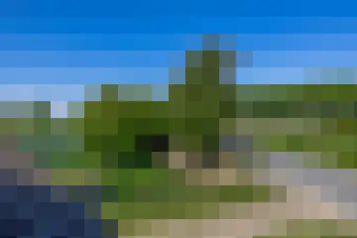 Achterdijk 189 Zevenbergschen Hoek thumbnail 33