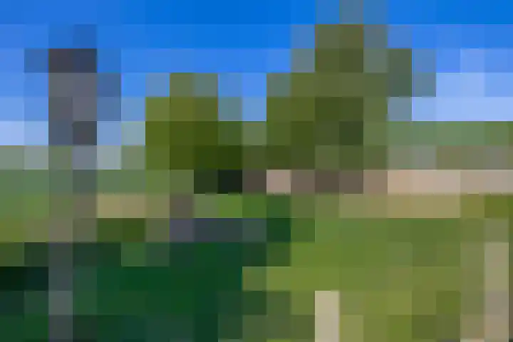 Achterdijk 189 Zevenbergschen Hoek thumbnail 34